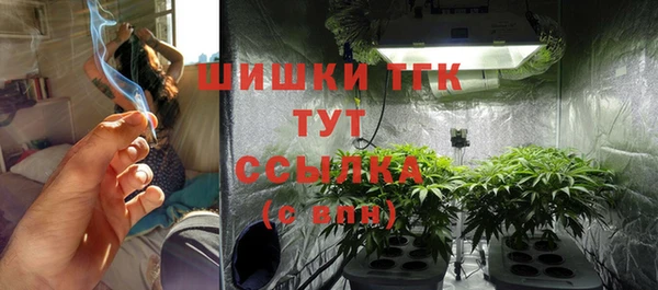 прущая мука Каменка