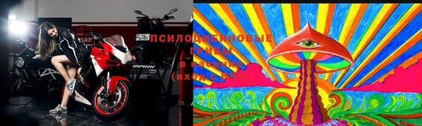 прущая мука Каменка