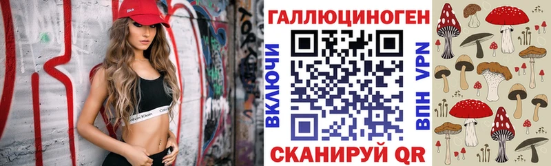 Купить Лысьва Псилоцибиновые грибы Psilocybe